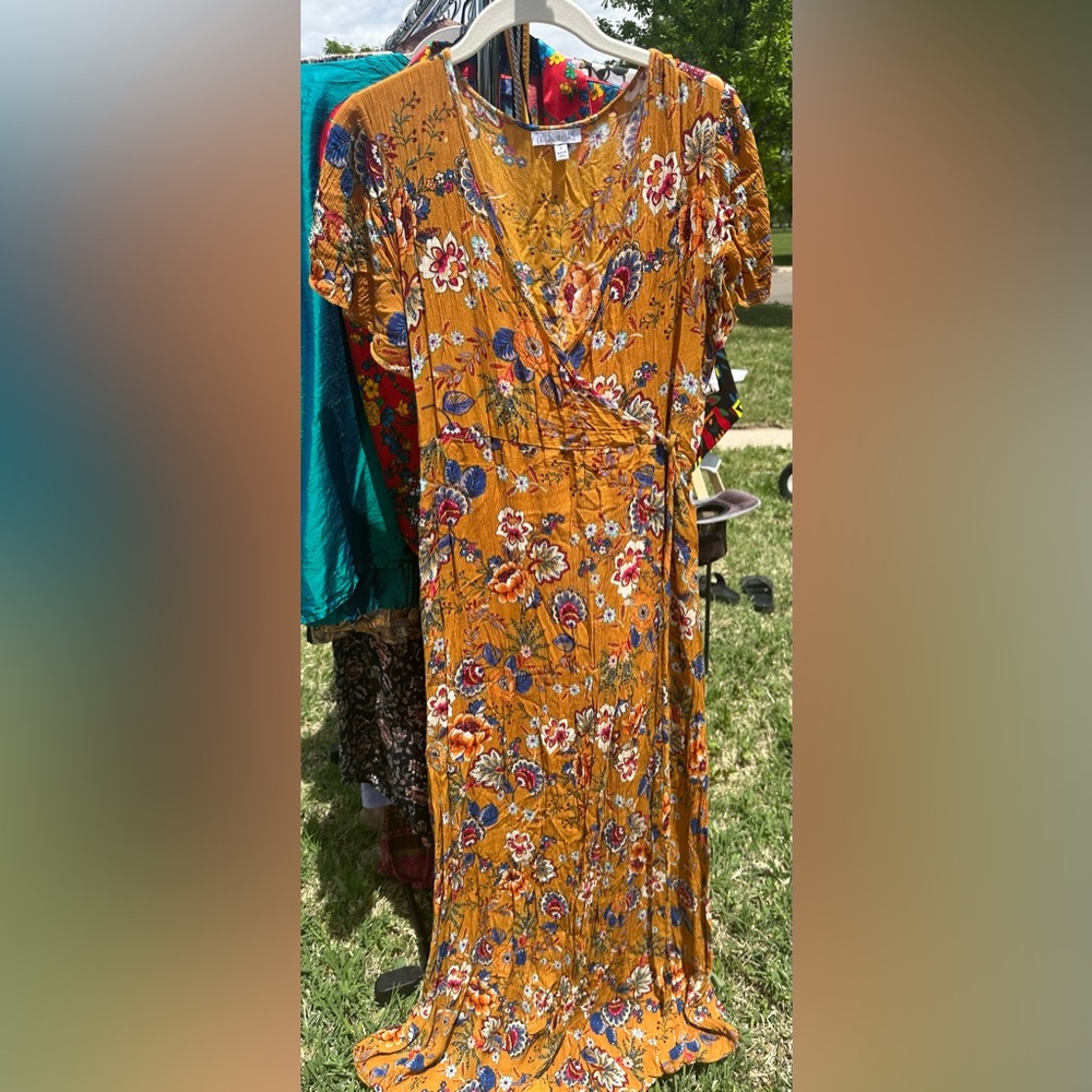 Beautiful Patrons of Peace Dress!